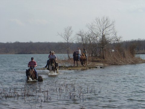 Peruvian Paso geldings trailriding at Sportsmans Lake Equestrian Riding Trails, Seminole OK